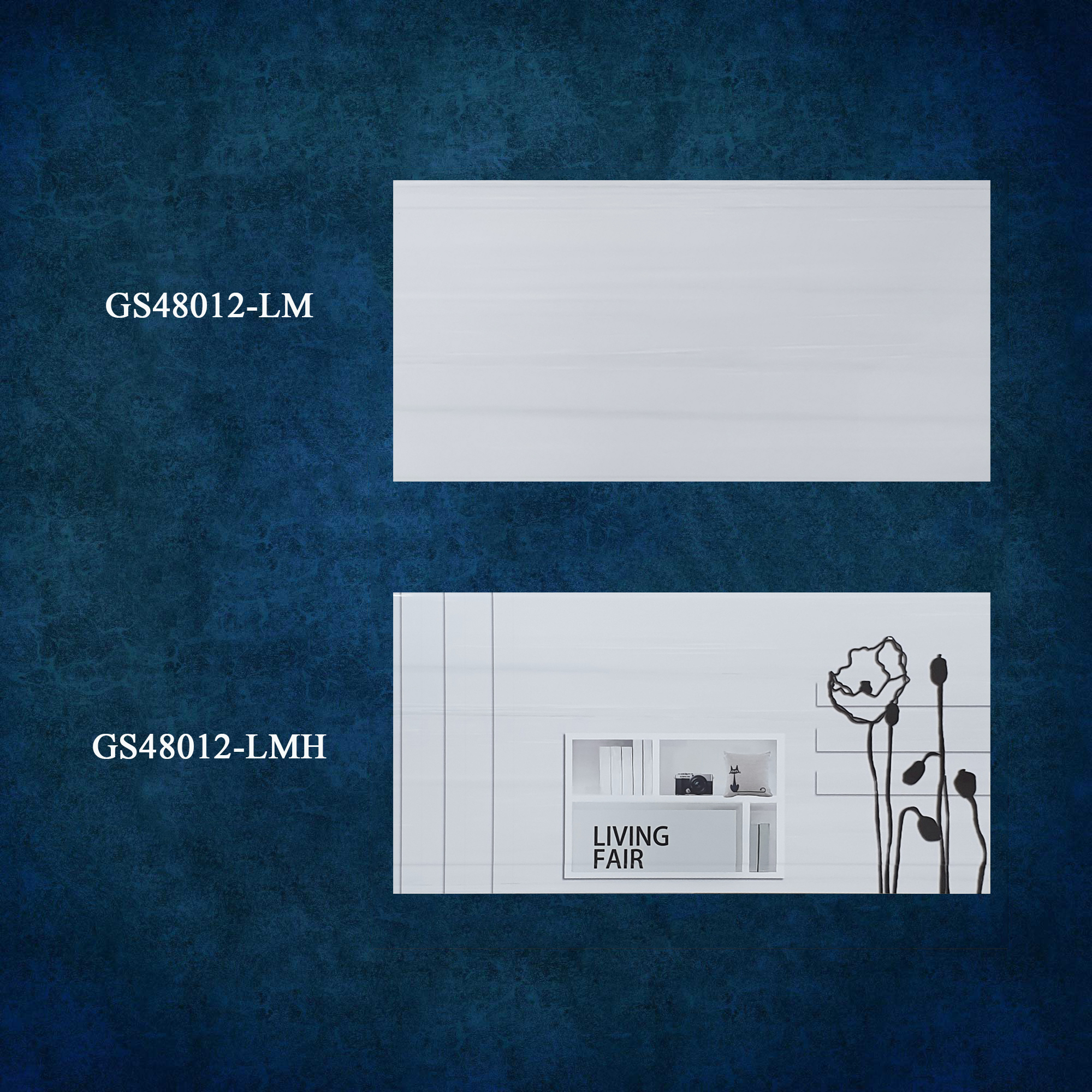  GS48012